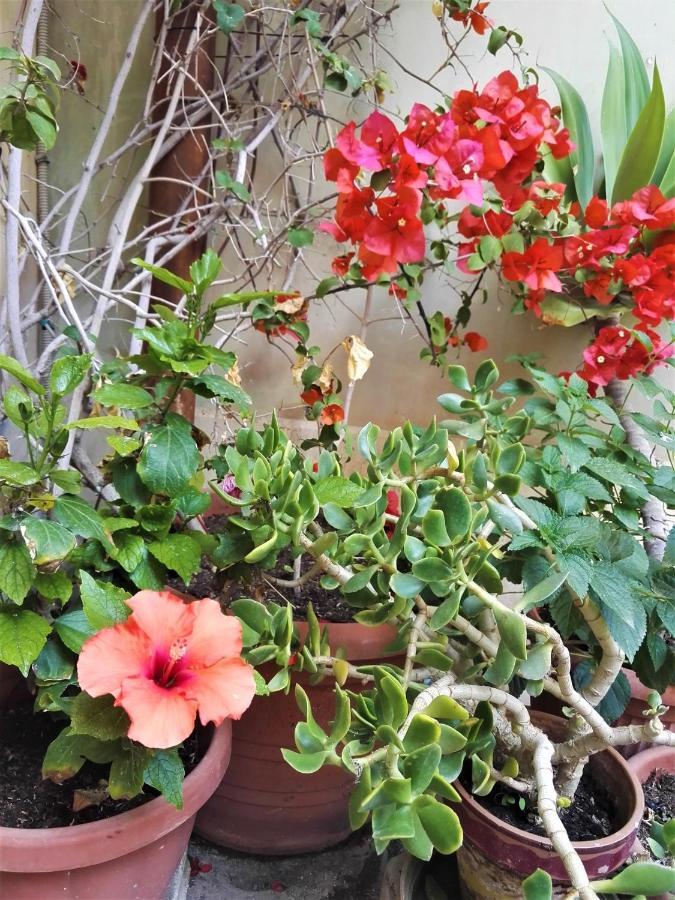 Aloha House Ortigia Villa Syracuse Luaran gambar